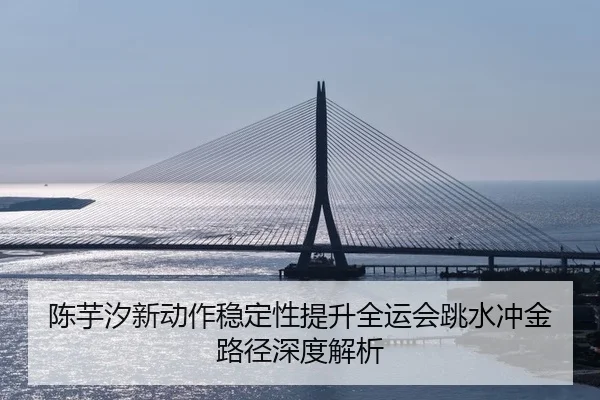 陈芋汐新动作稳定性提升全运会跳水冲金路径深度解析 - kaiyun
